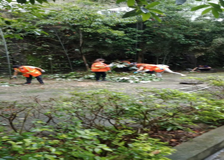 官地湾小区公共通道杂物乱堆乱放清理工作简报